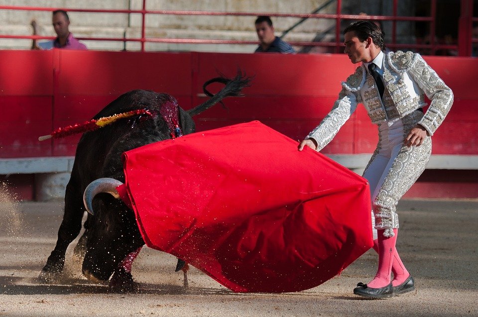 bullfight-2012796_960_720.jpg